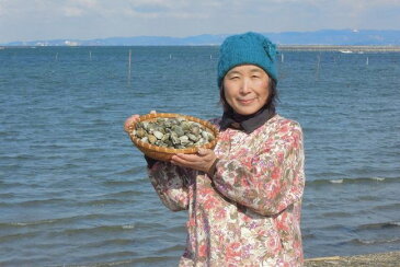 渥美の天然春待ちあさり−特大サイズ 活きあさり 愛知県産 天然 活き