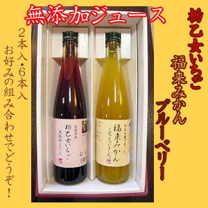 つむぎ野「無添加ジュース」2本入