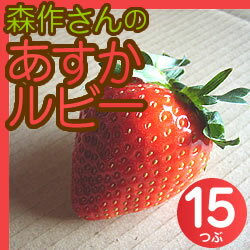 ޤФΤ褦ʥֿΤӡDX15γꡡ0309PUP10M