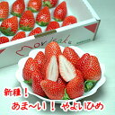 いちご「やよいひめ」15粒 送料無料!...
