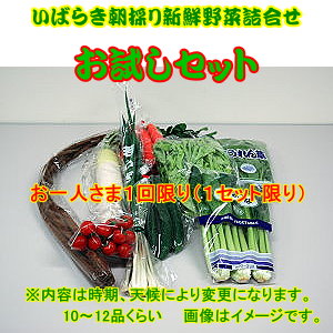 茨城朝採り野菜お試しセット皆様の応援で販売開始しました。露地栽培野菜は極力さけてハウス栽培の野菜を詰め合わせてお送りいたします。ご了承ください。