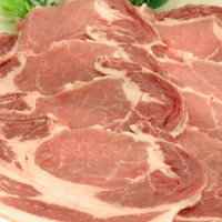 ˾塦դϡڥѡ0309PUP10M