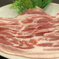 ˾塦դϡ Х饤0309PUP10M