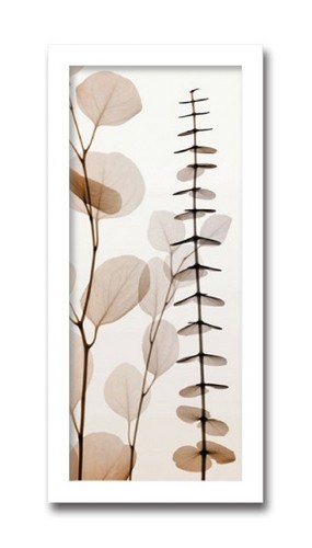 アートフレーム癒しのヒーリングインテリアレントゲン X線 Eucalypti(ユーカリ)黒 白黒 モノトーン 絵画