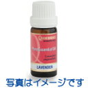ラベンダー・フレンチ (10ml) 100% エッセンシャルオイル ( 精油 ・ アロマオイル )