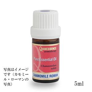 マヌカ （5ml） 100% エッセンシャルオイル （ 精油 ・ アロマオイル ）...:t-tree:10001120