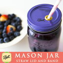 【パープル】【蓋】【穴あり/なし】メイソンジャー Ball社 レギュラーマウス用 ストロー用蓋 ノーマル蓋 フタ Mason jar パープル●