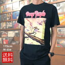 Deep Purple ディープ・パープル Tシャツ STORM BRINGER 70年代 ロック ブラック ハードコア ROCK メンズ ロックTシャツ バンドTシャツ
