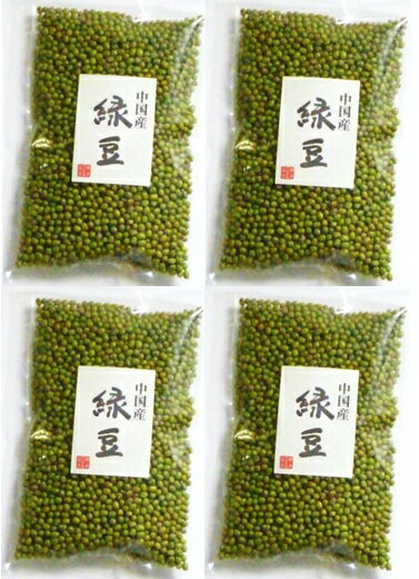 豆力　豆専門店の緑豆　1kg【メール便不可】【レビューでおまけ♪】モヤシや春雨の原料として有名な豆