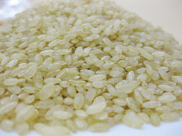 豆力　こだわりの北海道産発芽玄米　5kg【無洗米タイプ】【メール便不可】【レビューでおまけ♪】北海道産玄米を使用した、ほんのり甘味のある豊かな味わい♪