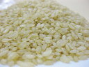 豆力　こだわりの北海道産発芽玄米　5kg【無洗米タイプ】【メール便不可】【レビューでおまけ♪】