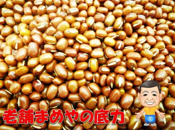 【レビューでおまけ♪】【大特価】 大人気！ 北海道産 小豆 （あずき） 1kg 【限定品】【メール便不可】