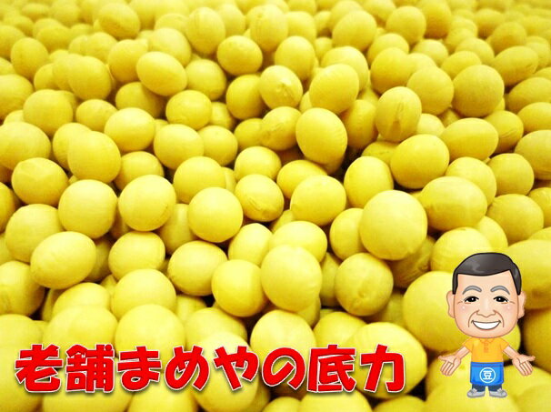 まめやの底力 大特価 北海道産大豆 1kg 【限定品/メール便不可】【レビューでおまけ】数量限定、期間限定で大特価にて販売中！大豆には、イソフラボンや食物繊維等の機能性成分が多く含まれてます。