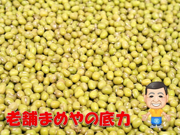 まめやの底力　大特価　緑豆　1kg　【限定品】【メール便不可】【レビューでおまけ♪】