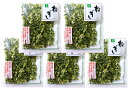 こだわり乾燥野菜 熊本県産 ねぎ 10g×5袋 【吉良食品 ドライ 干し 国内産100% 国産 葱】