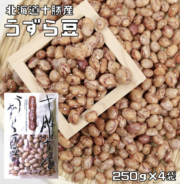 <strong>うずら豆</strong> 1kg 豆力 北海道十勝産 北海道産 アサヒ食品工業 うずら 国産 国内産 徳用 乾燥豆 手料理 手作り 煮豆用