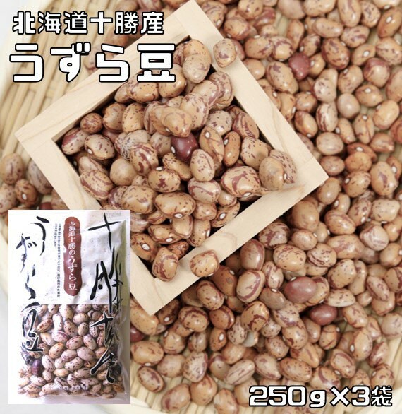 <strong>うずら豆</strong> 250g×3袋 豆力 北海道十勝産 （メール便）北海道産 アサヒ食品工業 うずら 国産 国内産 徳用 乾燥豆 手料理 煮豆用