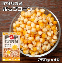 <strong>ポップコーン</strong> 1kg <strong>豆</strong>力 お徳用 手作り Pop Corn <strong>豆</strong> アメリカ産 コーン おやつ おつまみ お菓子 業務量 大容量