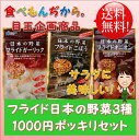 【メール便送料無料】 フライド日本の野菜3種 1000円ポッキリ!セット 【ビバレジャパン フライドオニオン フライドガーリック フライドごぼう】