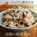 【かんたん酵素玄米4合×5個】玄米・国産小豆・塩が4合分になった便利な酵素玄米キット【送料無料】