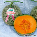 北海道 富良野パールレッドメロン 1個 | 直送品 | ( メロン 果物 くだもの 産直 お取り寄せ お取り寄せグルメ お取り寄せギフト ギフト プレゼント 贈答品 お中元 夏ギフト 母の日 父の日 誕生日 土産 お土産 おみやげ)