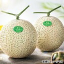 愛知 マスクメロン 2.7kg | 直送品 | ( メロン 果物 くだもの 産直 お取り寄せ お取り寄せグルメ お取り寄せギフト ギフト プレゼント 贈答品 お中元 夏ギフト 母の日 父の日 誕生日 土産 お土産 おみやげ)