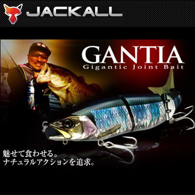 ジャッカル ガンティア 180