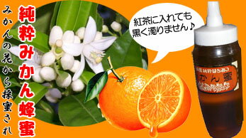 メキシコ産オレンジ蜂蜜〓本物の蜂蜜〓250g入　みかんはちみつ▼サービス:【お歳暮】