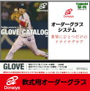 【ドナイヤ】【DONAIYA】軟式オーダー グラブ (オーダー商品のため代引き不可)