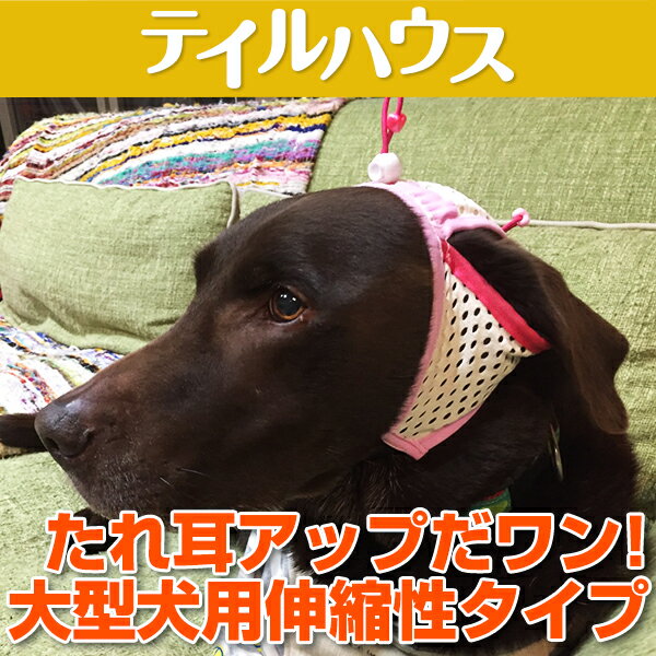 たれ耳　外耳炎　犬　たれ耳犬　犬の健康　耳の病気　耳のケア　通気性　ジメジメ　じめじめ　マラセチア菌　耳上げ　たれ耳アップ　ゴールデンレトリーバー　ラブラドールレトリーバー　大型犬　伸縮性フィット 犬用サポーター　たれ耳アップだワン