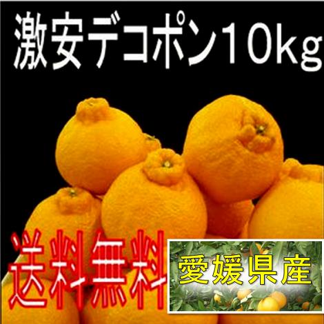 愛媛　激安　デコポン10kg送料無料＜少し　訳あり＞【minami-special0408】