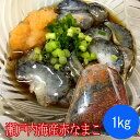 赤なまこ 瀬戸内海産 1kg ナマコ 海鼠 赤 生
