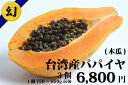 パパイヤ 台湾産 3個 数量限定 送料無料