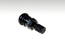 【RAYS】ヨーロッパアルミバルブ RAYS NEWロゴ BK ブラック 品番:49 レイズ エアバルブ