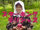 【★数量限定品】【★10月中旬以降発送予定】【A級品】竹嶋有機農園の自然農法りんご スターキング・デリシャス ※常温配送 ※売り切れの際はご容赦ください