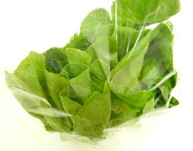 ̵(̵ˤΥڡ1Ģ528ȯʬ