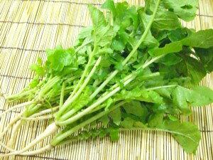 ̵(̵ˤ纬1«528ȯʬ