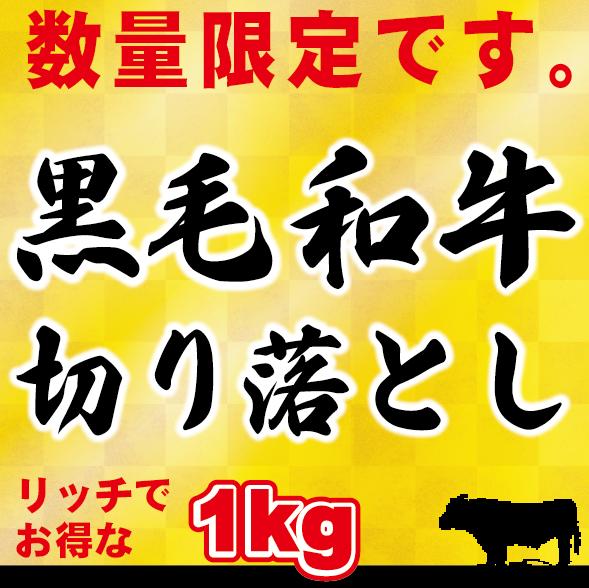 【訳アリ】【送料無料】黒毛和牛 1kg 切り落とし肉　（国内産）たっぷりお得な1kg 小分けで便利（250g×4）牛肉 切落し 切り落し 送料込み 訳あり 国産 牛丼 炒め物 鉄板焼肉 肉じゃが 肉うどん しぐれ煮 ハッシュドビーフ プルコギ