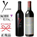  KiԃCyAMtg w VLC ˃C 750ml~2{Zbg xCoCVL Y by Yoshiki WineKOBE WINE xlfBNVI [W̓ ̓ hV̓ av[gj  I LO j JXj