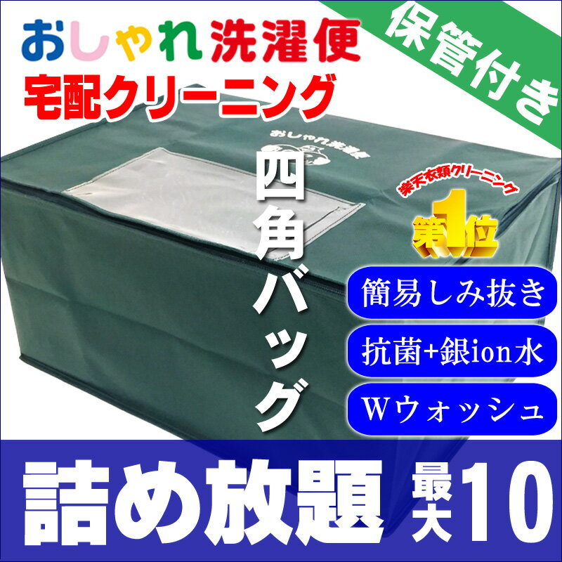 宅配クリーニング 10点まで 詰め放題 衣替えがラクになる！便利な衣類ケア （ダブルウォッシュ・保管付きコース）タカケン【サービス特集認定商品】