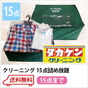 【送料無料】モニター価格!15点パック超お値打ちクリーニング /詰め放題/クリーニング/宅配クリーニング/選べる/お試し15点/宅配バッグ/保管/洗濯/抗菌無料/タカケンクリーニング/衣替え/10P02Mar14