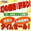 【送料無料】モニター価格15点まで詰め放題クリーニング限定/1年保管追加料金2500円/クリーニング/詰め放題/宅配クリーニング/選べる/お試し15点/宅配バッグ/洗濯/抗菌無料/タカケンクリー