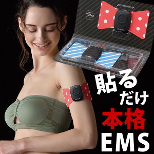 ルルド シェイプアップ リボン EMS 2個セット アテックス【和楽 送料無料 エステ ダイエット マッサージ リボン 筋トレ マシン デザイン シェイプアップ バストアップ ヒップアップ たるみ くびれ AX-KXL5200 ATEX】