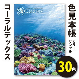 【送料無料】西洋 <strong>漆喰</strong>【Coral Tex <strong>コーラル</strong><strong>テックス</strong>】カラーサンプル 色見本帳　30色