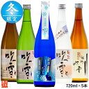 【冬季限定】日本酒 飲み比べ 新酒しぼりたて 入り 720ml×5本 送料無料 プレゼント 日本酒 辛口 日本酒 飲み比べセット 酒 お酒 地酒 セット 原酒 純米吟醸 純米酒 贈答 贈り物 お礼 お祝い 内祝い お返し お父さん 誕生日 越路吹雪 新潟 高野酒造