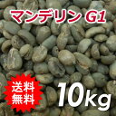 【送料無料(一部地域を除く)】コーヒー 生豆 マンデリン G1 10kg(5kg×2)