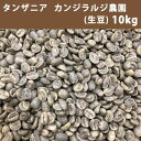 ショッピングコーヒー豆 コーヒー 生豆 タンザニア カンジラルジ農園 KIBO10kg(5kg×2)【送料無料(一部地域を除く)】