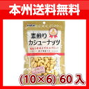 (本州送料無料)稲葉ピーナツ 素煎りカシューナッツ (10×6)60入
