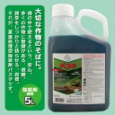 ★送料無料★ バスタ 除草剤 液剤(徳用5L)業務用 農用サイズ作物の近くでも安心して使える除草剤 種類 強力