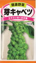 野菜種 種子芽キャベツ(2ml)子持甘藍栽培容易で生食・食味...